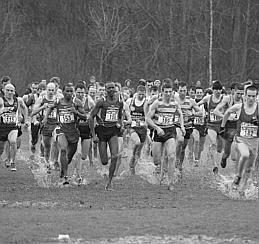 Le Nord - Pas-de-Calais fait presque carton plein