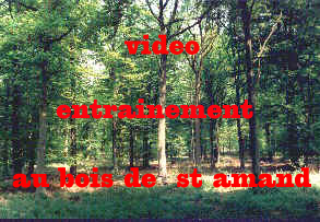 bois de st amand